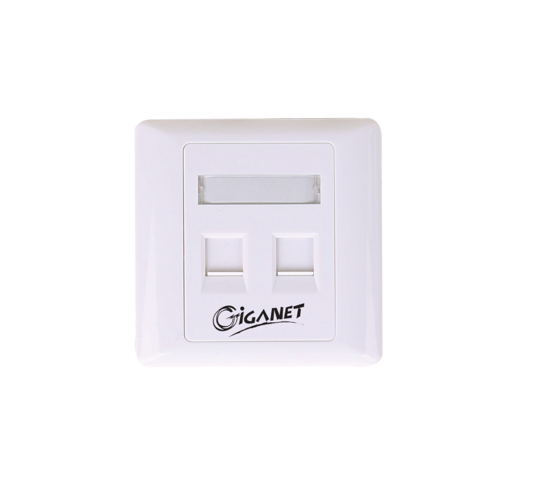 GIGANET DUAL FACEPLATE